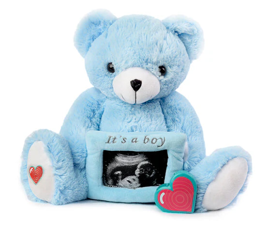 Blue Gender Reveal Bear