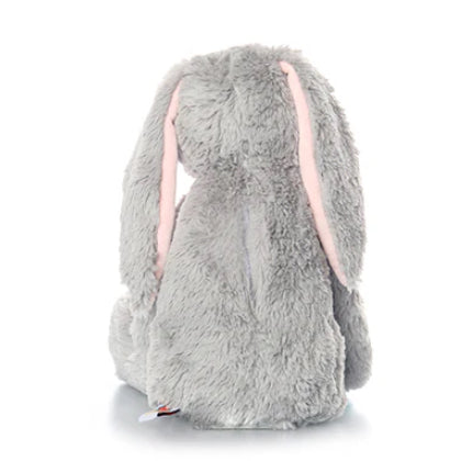 Gray Bunny