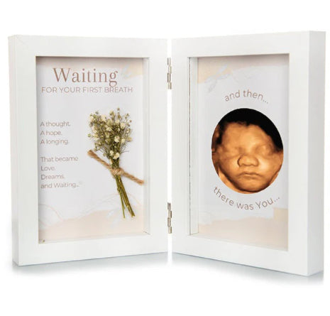 Ultrasound Frame