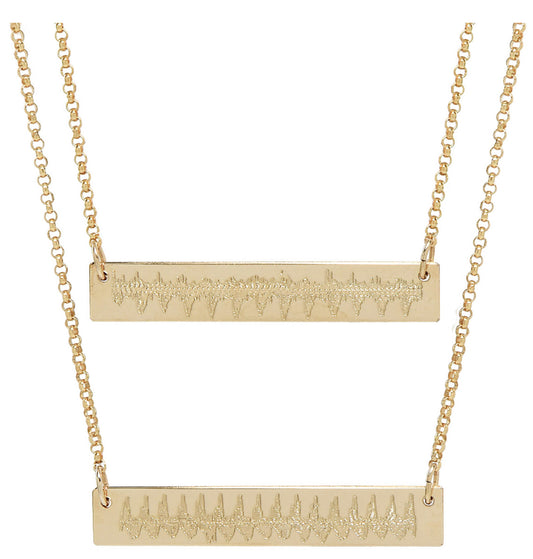 Double Heartbeat Bar Necklace